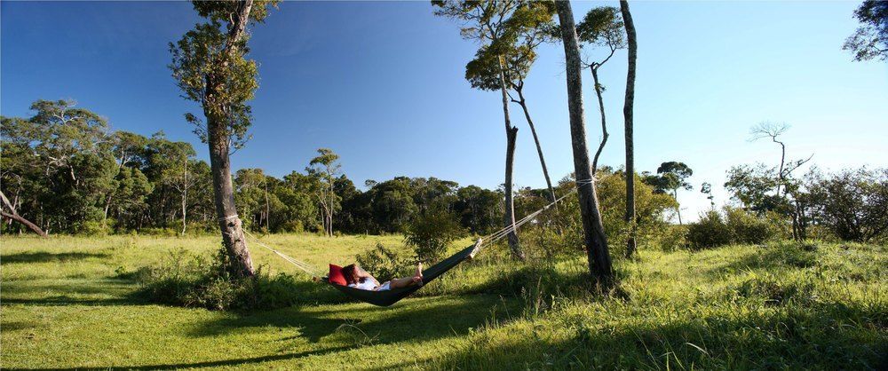 Elephant Pepper Camp Maasai Mara Ngoại thất bức ảnh